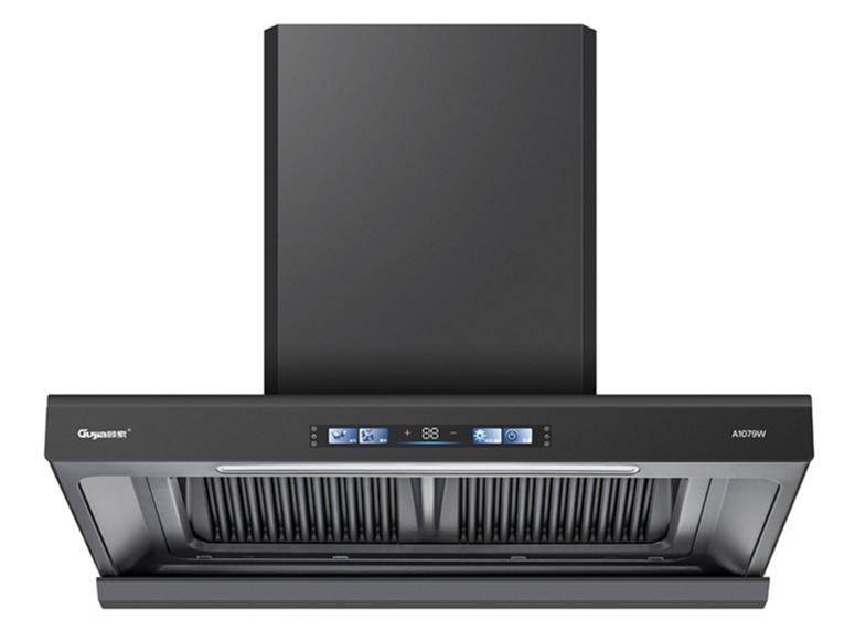 A1079W