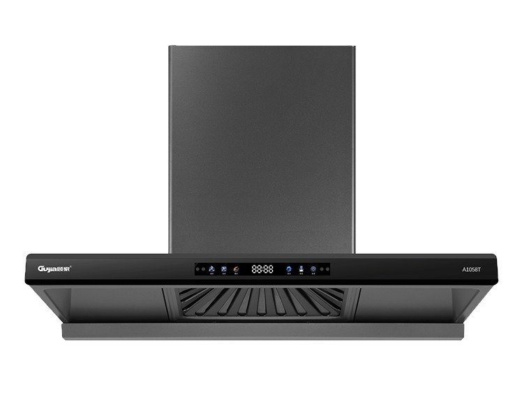 A1058T
