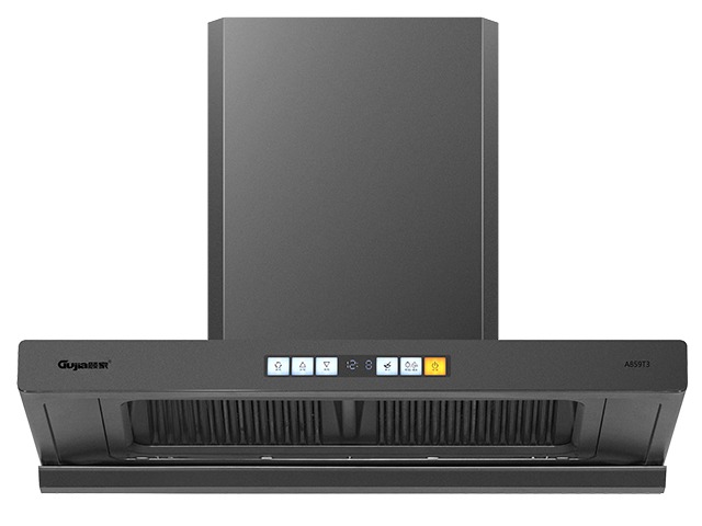 A853T3